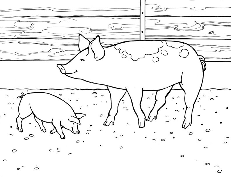 planse desene de colorat porc purcel